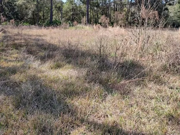 7636 W Narcissus Ln, Homosassa, FL 34448
