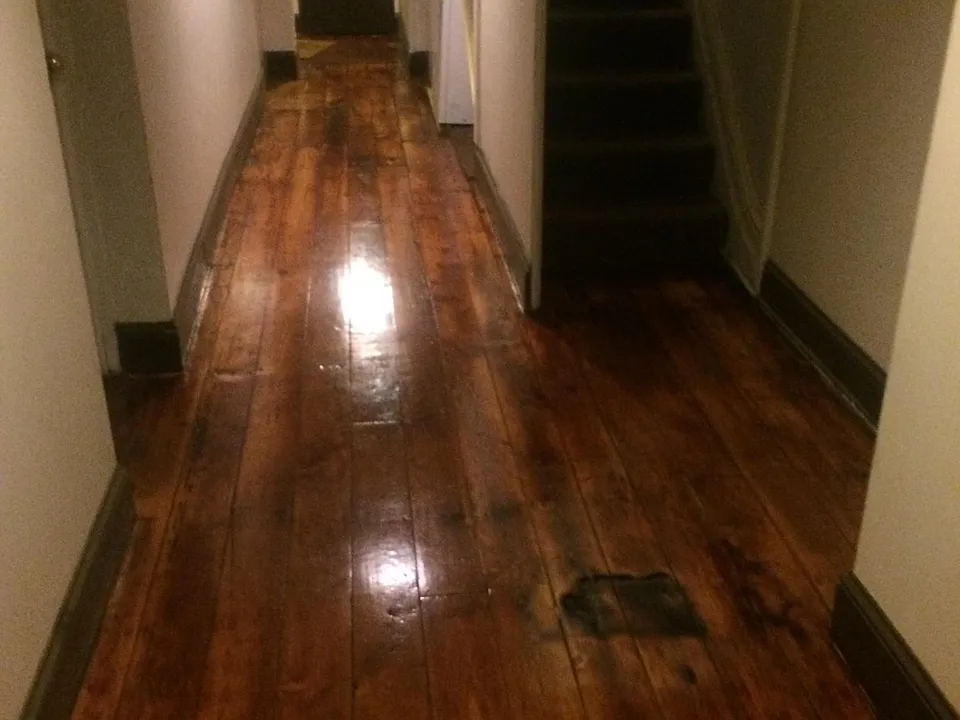 Hallway leading to garden apt