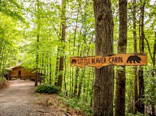 137 Little Beaver Dr, Cherry Log, GA 30522