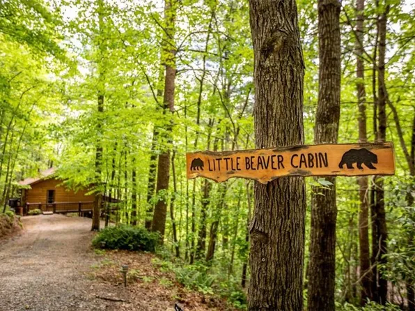 137 Little Beaver Dr, Cherry Log, GA 30522