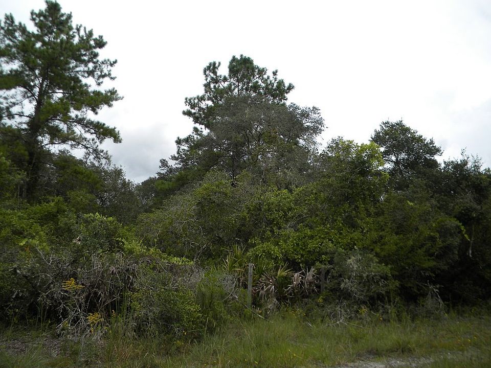 2nd image of 6461 NW 105th Ct