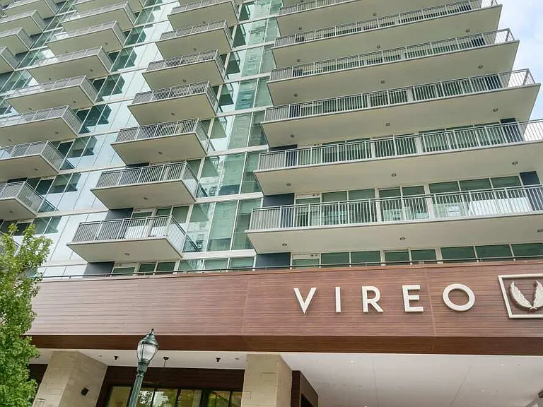 Vireo — Photo 34