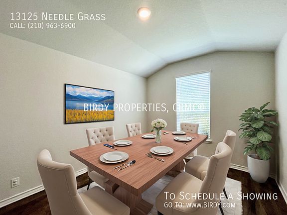 2nd image of 13125 Needle Grass
