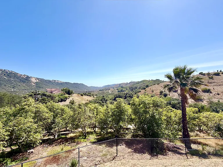 29165 Ridgeline Ct — Photo 51