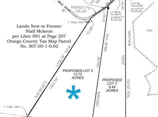 LOT 2 Burdick Hill Rd Lot 2, Otego, NY 13825