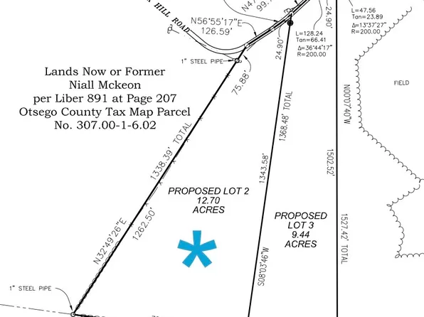 LOT 2 Burdick Hill Rd Lot 2, Otego, NY 13825