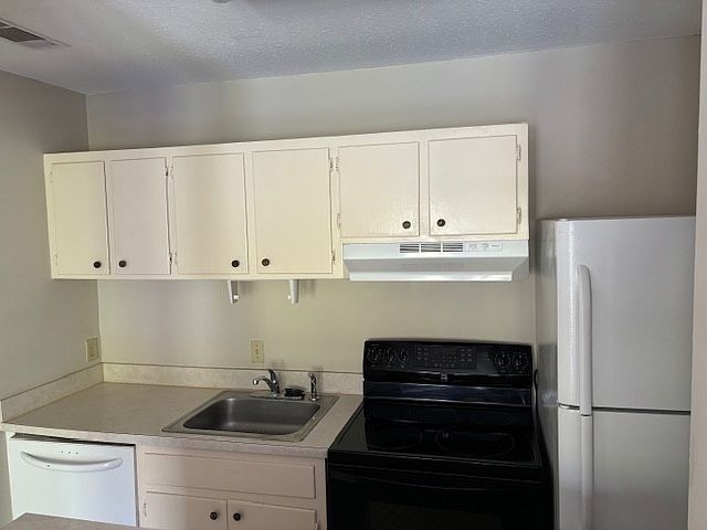 Kitchen, dishwasher, stove and fridge