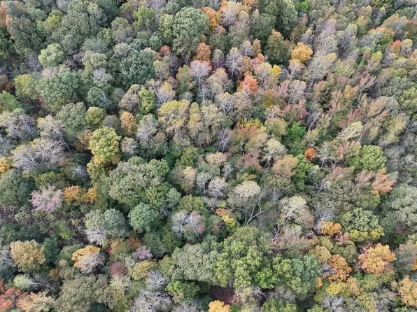 Eric Young Rd, Morgantown, KY 42261