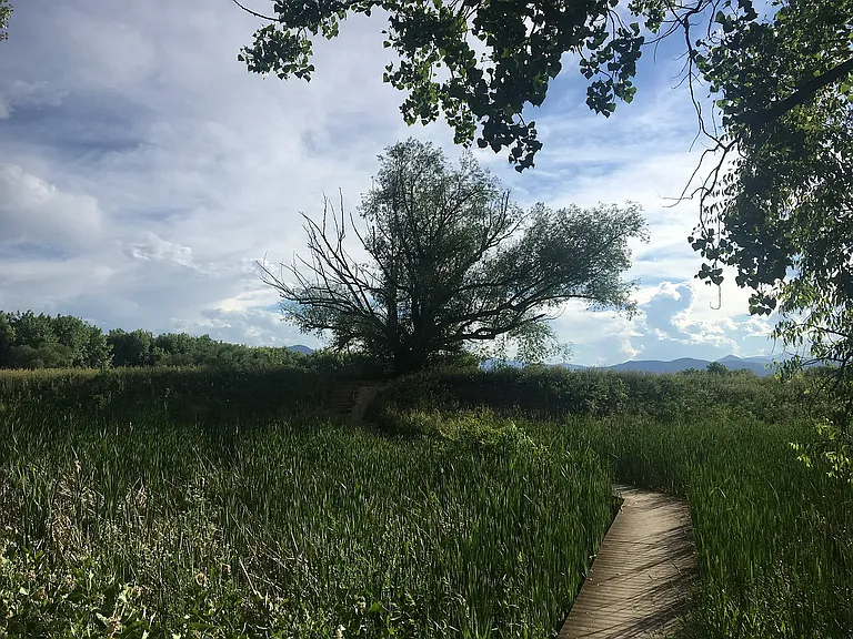 Nearby by trail at Twin Lakes