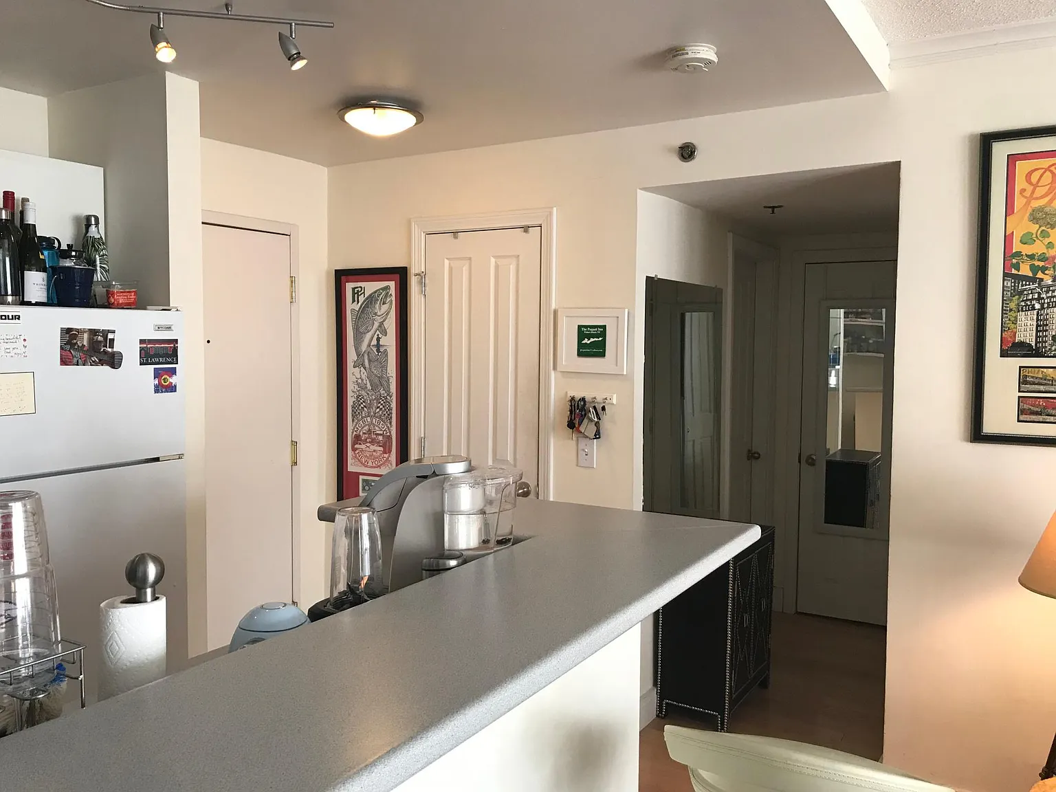 1 bed, 525 sqft, $2,400 — Photo 2