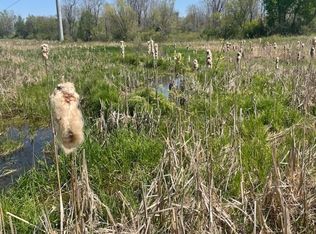 Douglas Dr, Pinckney, MI 48169