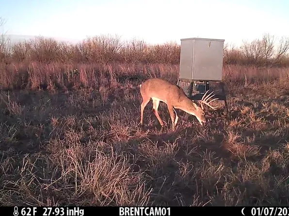 County Road 364, Anson, TX 79501