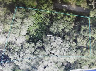 County Road 401 LOT C-167, Lake Panasoffkee, FL 33538