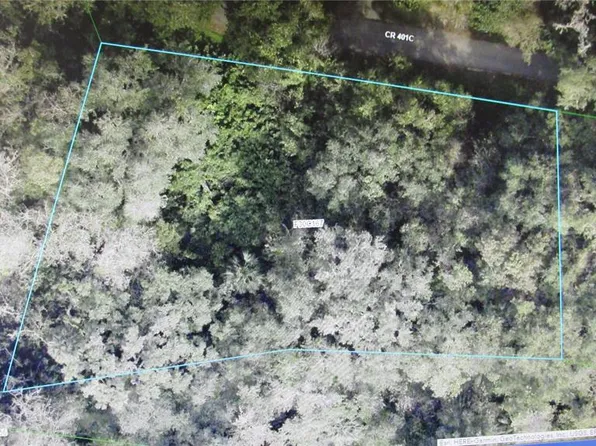 County Road 401 Lot C-167, Lake Panasoffkee, FL 33538