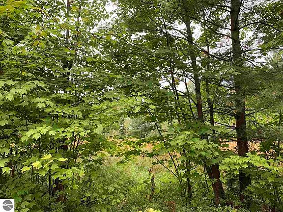 2nd image of 4945 Whitetail Dr SE