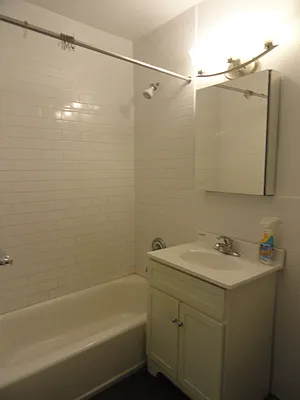 Rented by Manhattan Flats | media 6