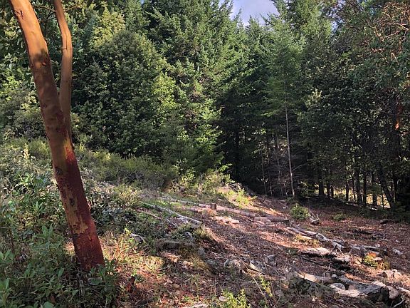 5th image of 43 & 61 Wood Ct