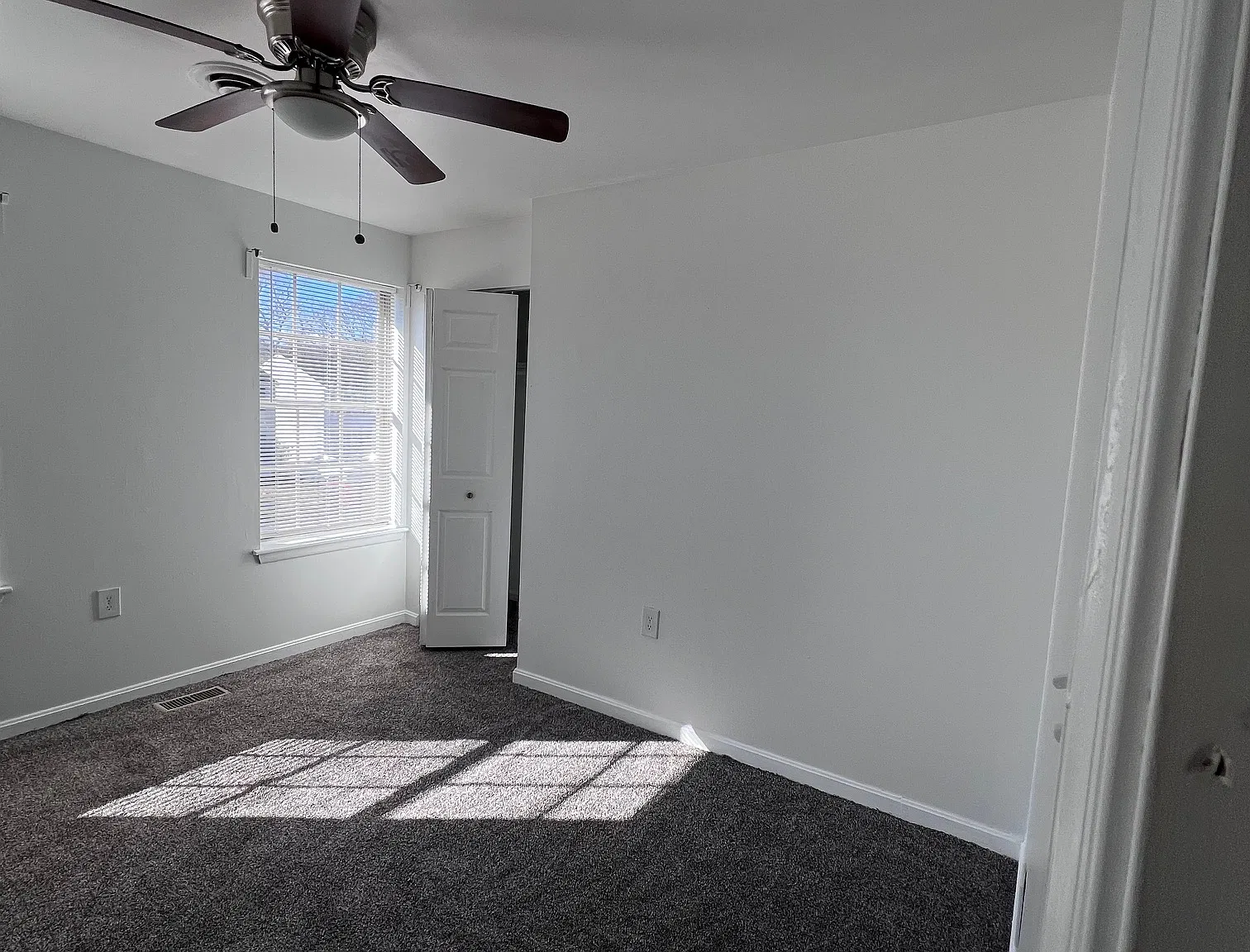 Laburnum Rd, Edgewood — Photo 4