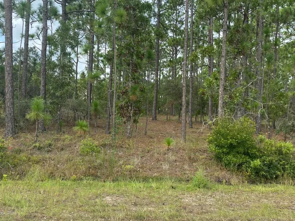 Lot 6 Monroe Road, Boiling Spring Lakes, NC 28461