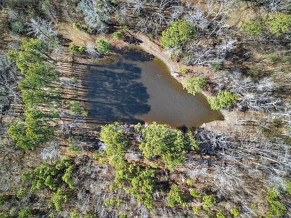 3rd image of 2428 Sims Bridge Rd