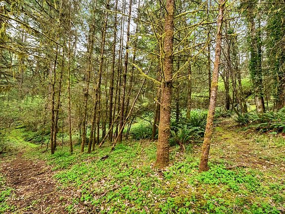 5th image of 89879 Sheffler Rd