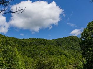 19 Chautauqua Rdg, Barnardsville, NC 28709