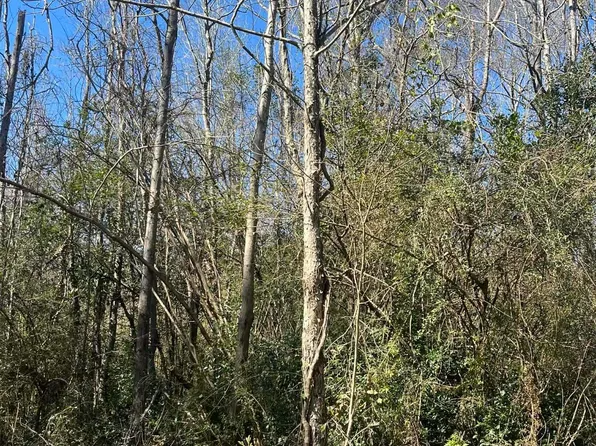 Abernathy Ave, Bay Minette, AL 36507