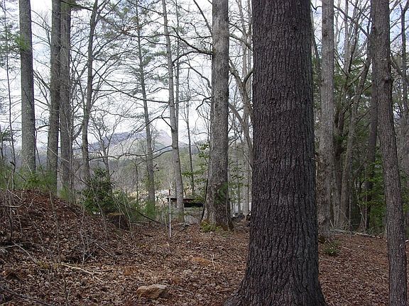 3rd image of TRACT 3 Hf Lyons Rd