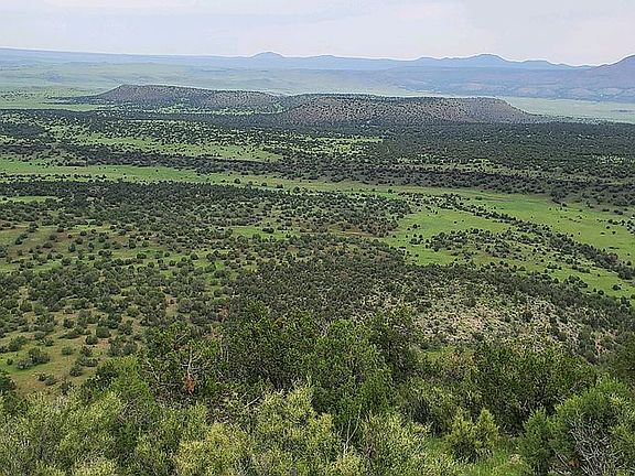 5th image of 830 N Kokopelli Trl