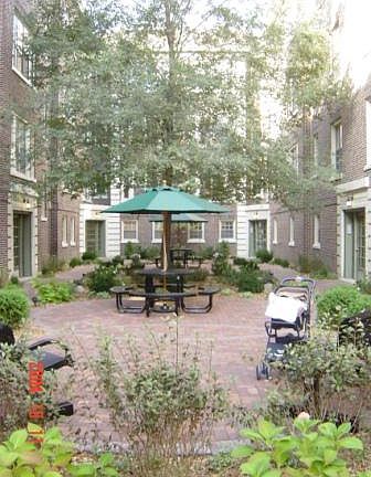 3rd image of 427 N Lombard Ave APT 1