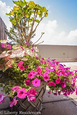 Rented by Milford Management | media 5