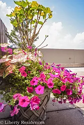 Rented by Milford Management