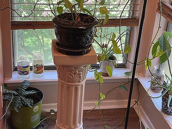 Living room window bay