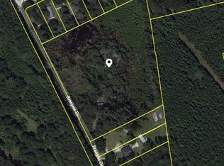 1057 Branjess Dr, Johns island, SC 29455