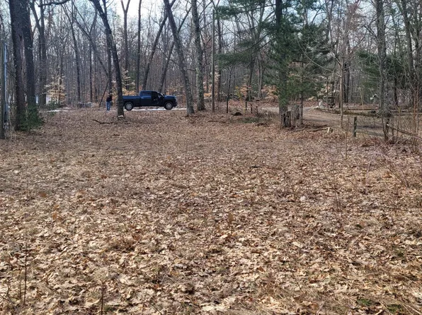733 W Parkway Dr, White Cloud, MI 49349