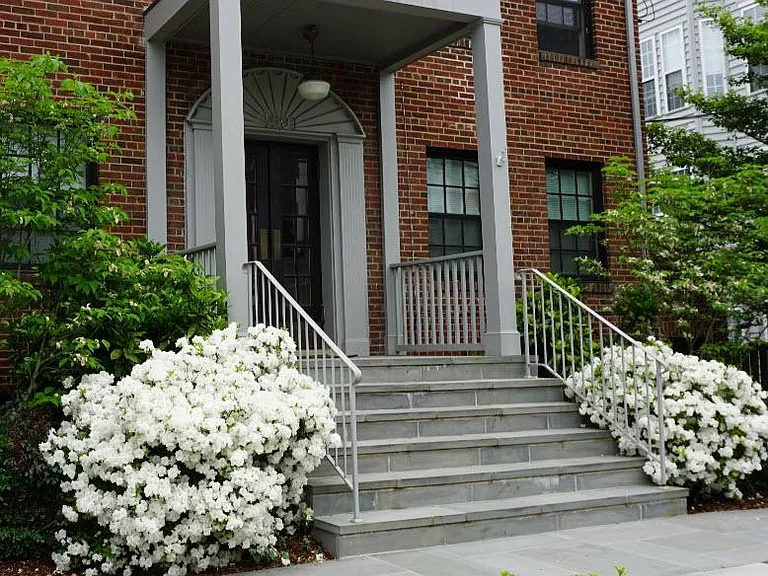 1501 N Rhodes St — Photo 7
