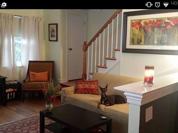 Living Room (Note small dog)