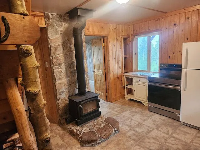 Wood Stove