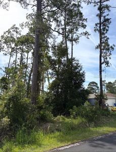 5TH AVENUE LOT 4, Deland, FL, 32724