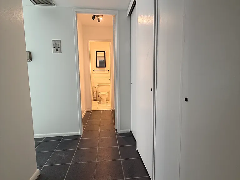 260 E Chestnut St #714 — Photo 4