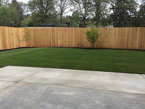 view from patio of rear yard