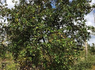 7041 Coe Rd, Panama City, FL 32404