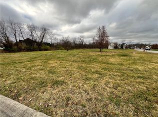 6034 Arlyne Ln, Medina, OH 44256