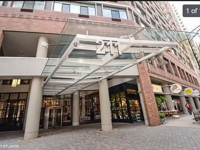 211 E Ohio St APT 1102, Chicago, IL, 60611