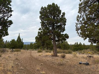2200 SE Oak Ln, Prineville, OR, 97754