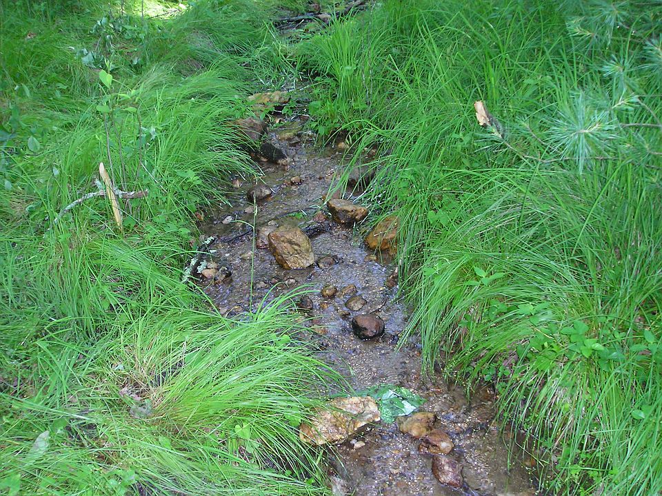 1st image of Tbd Forest Grn #9