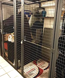 Rented by Coda Real Estate NYC