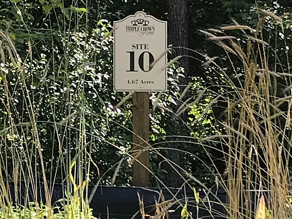 4th image of Gallant Fox Xing #10