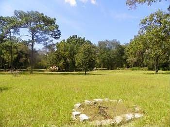 2nd image of 388 E Ponkan Rd