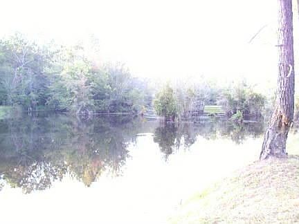 Fully Stocked Fish Pond : Largemouth Bass, Bream, and Catfish